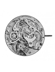 Vénus 150 (1949)