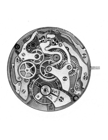 Landeron 352 (1955)