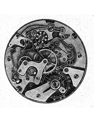 Excelsior Park 8 (1955)