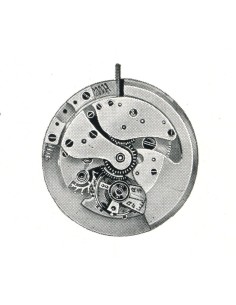 A. Schild 1171 (1942)