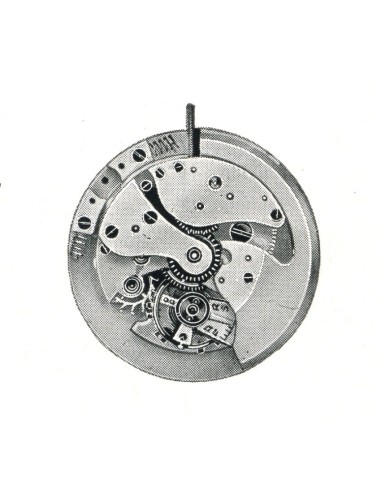 A. Schild 1171 (1942)