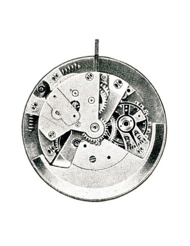 A. Schild 1250 (1950)
