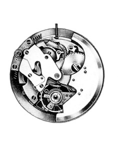 A. Schild 1302 (1950)