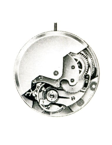 A. Schild 1320 (1950)