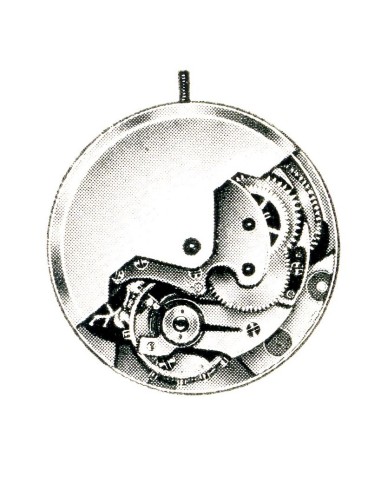A. Schild 1323 (1950)