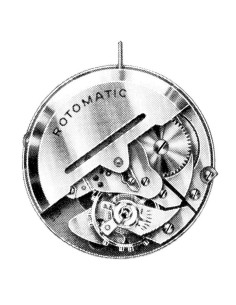 A. Schild 1516 (1955)