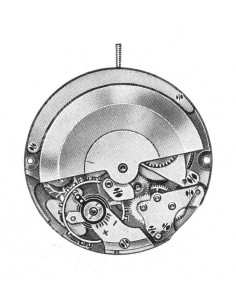 A. Schild 1674 (1963)