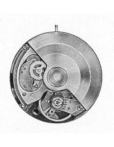 A. Schild 1886 (1969)