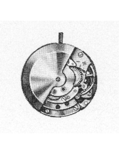 A. Schild 1775 (1976)