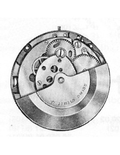 A. Schild 2062 (1976)