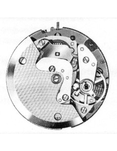 A. Schild 5206 (1976)