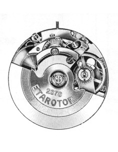 ETA 2878 (1976)
