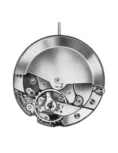 Felsa 4009 (1963)