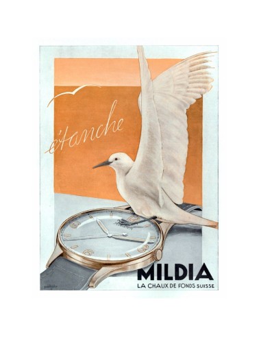 La véritable histoire des montres Mildia